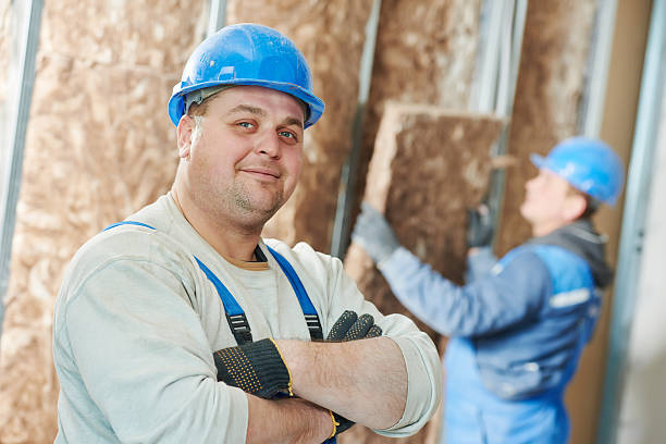 Best Insulation Maintenance and Repair in Merrifield, VA