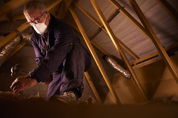 Best Insulation Installation Services in Merrifield, VA